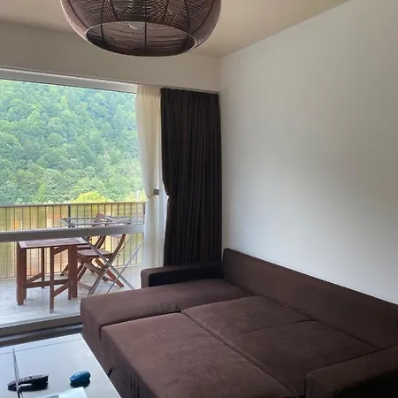 Amazing Brownie By Miro Apartment Sinaia Exterior photo