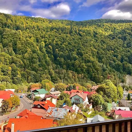 Amazing Brownie By Miro Apartment Sinaia Exterior photo