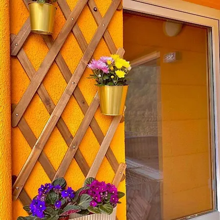 Amazing Brownie By Miro Apartment Sinaia Exterior photo