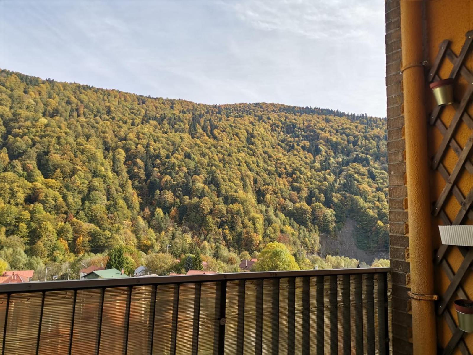 Amazing Brownie By Miro Appartement Sinaia